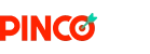 Logo pincoguncelgiris.info